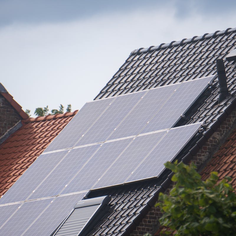 pexels-photo-27863809