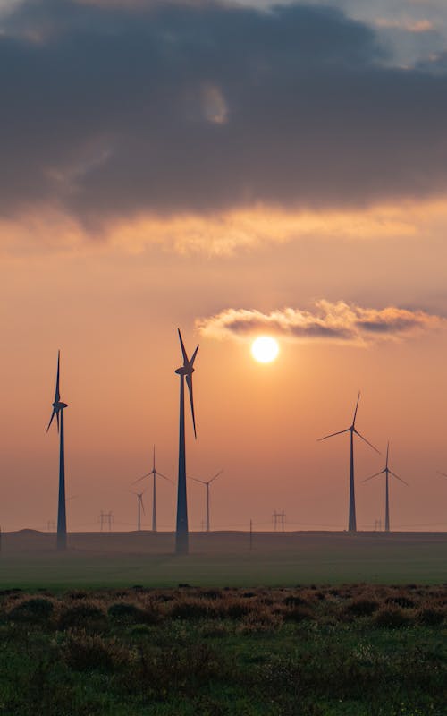 pexels-photo-9796748